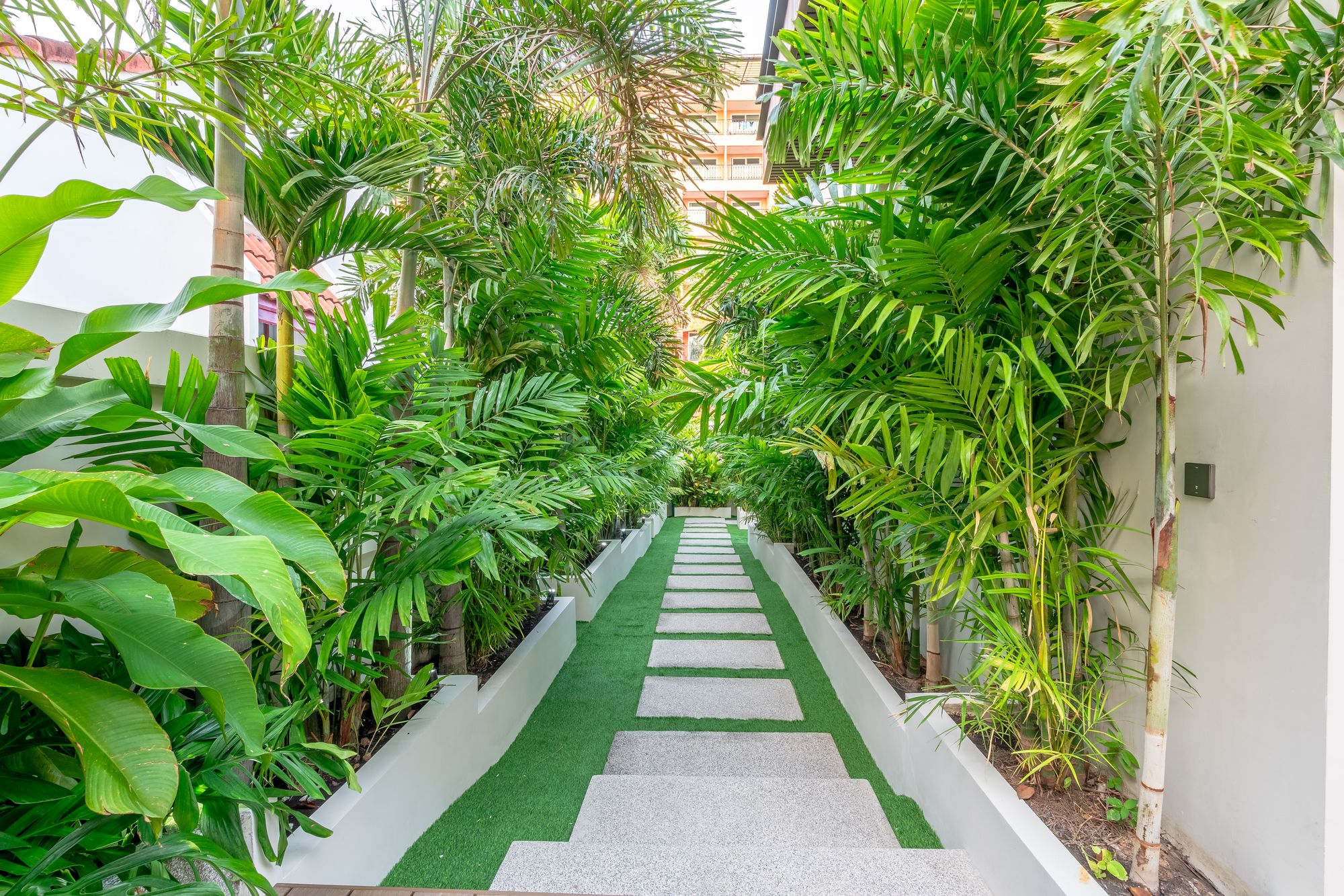 Tropical garden walkway